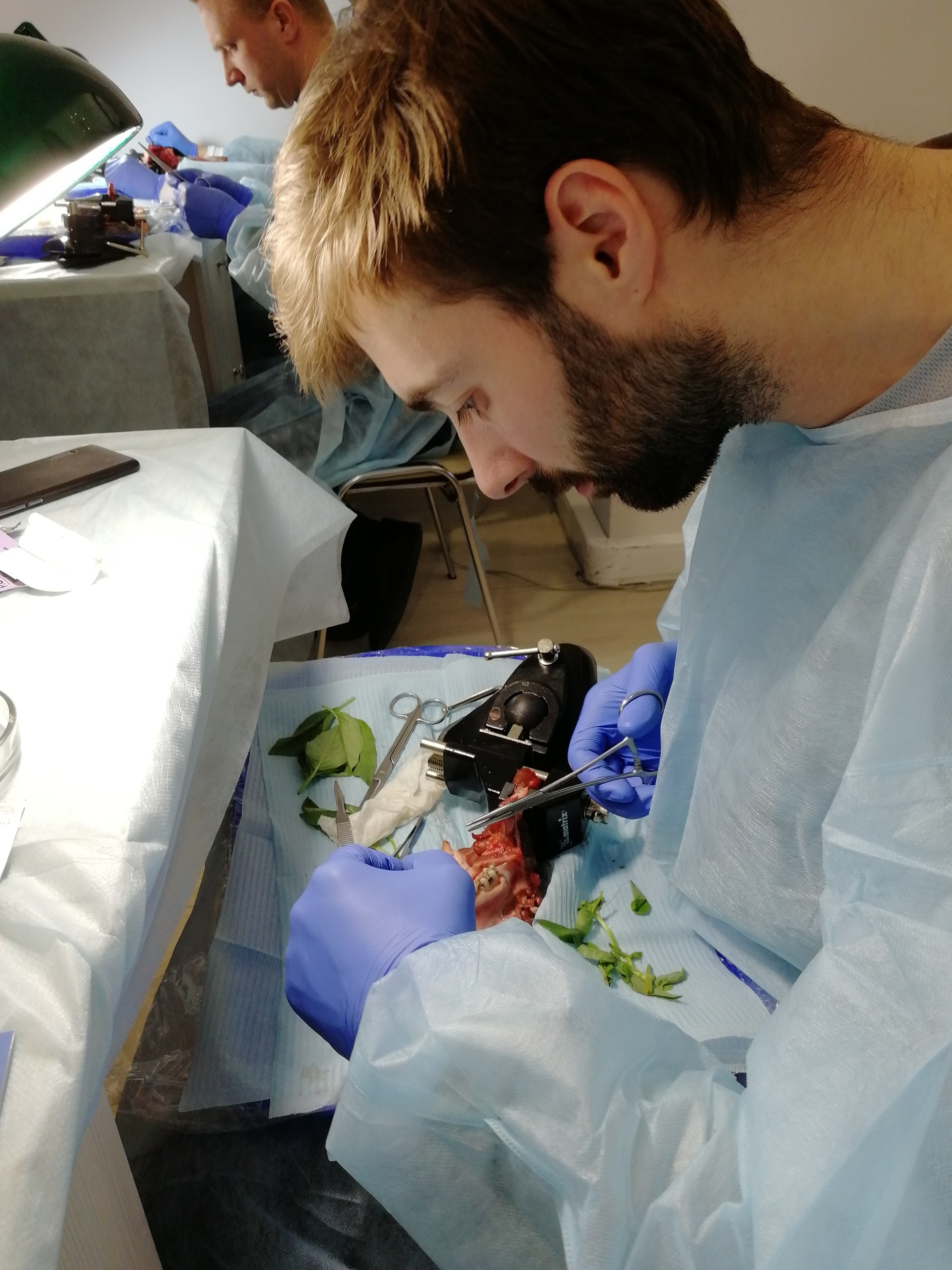 Стоматология в Твери - Линия Улыбки. Стоматология в Твери - Линия Улыбки