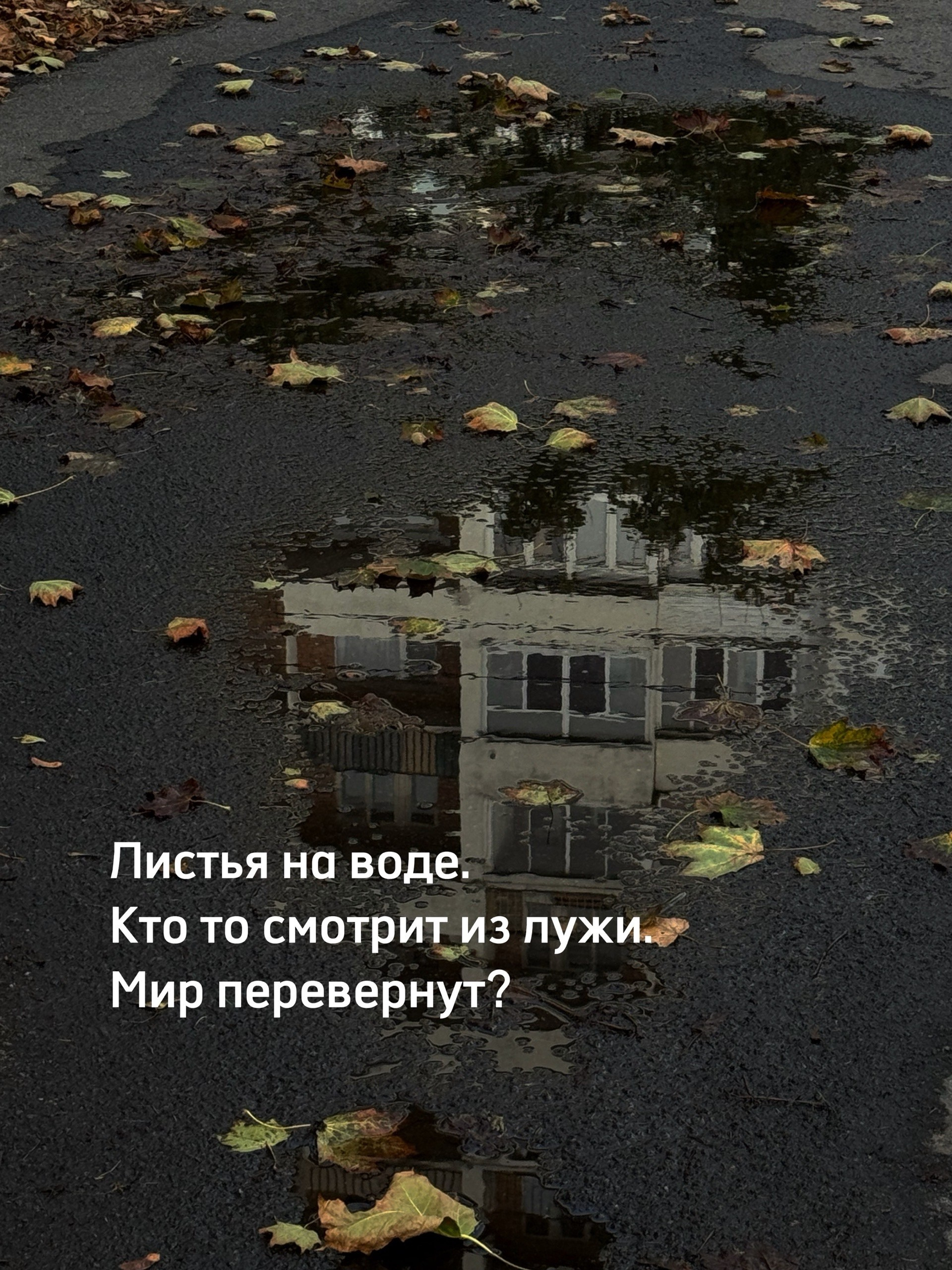 Фотография как путь к себе. Психолог Мария Морозевич в Санкт-Петербурге