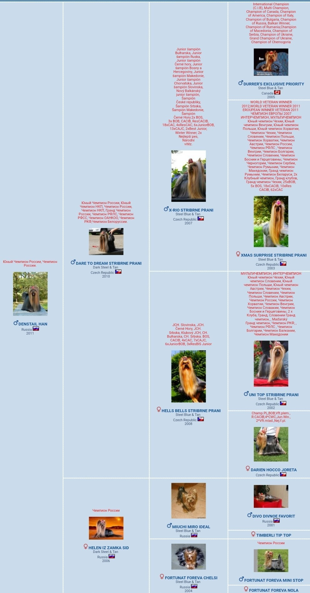 Дэнстайл Хан. Питомник Йоркширских терьеров Дэнстайл в Санкт-Петербурге заводчик Тих