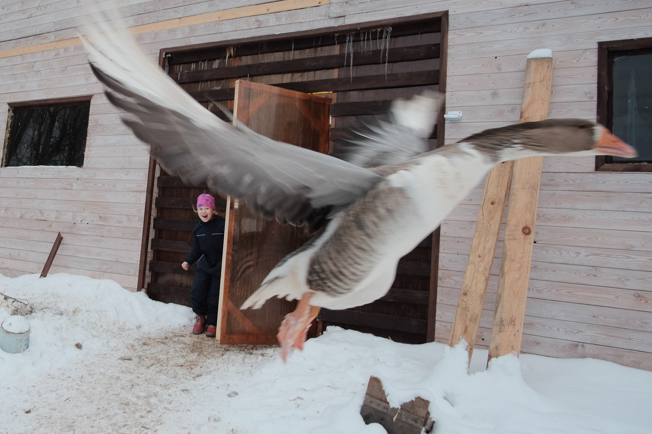 Фотограф Евгений Андреев