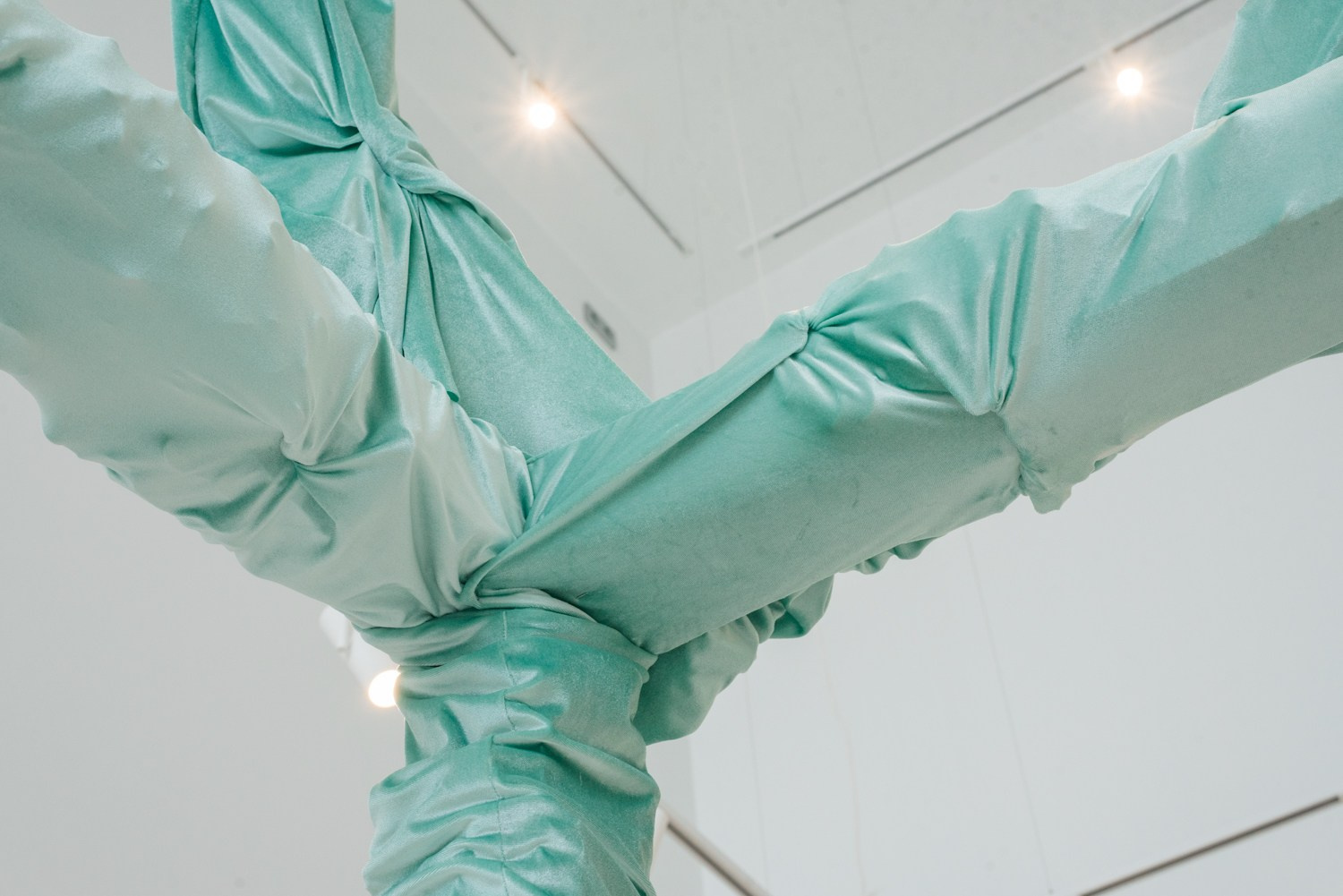 ''Как отрастить кожу'' выставка Яны Васильевой в ''Сиянии'' 8.06-1.08