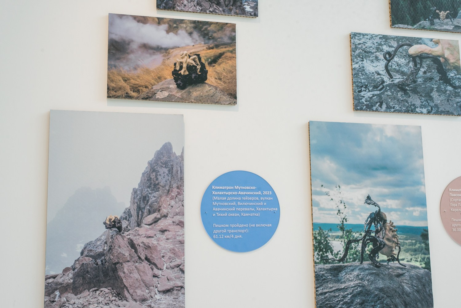 ''Как отрастить кожу'' выставка Яны Васильевой в ''Сиянии'' 8.06-1.08