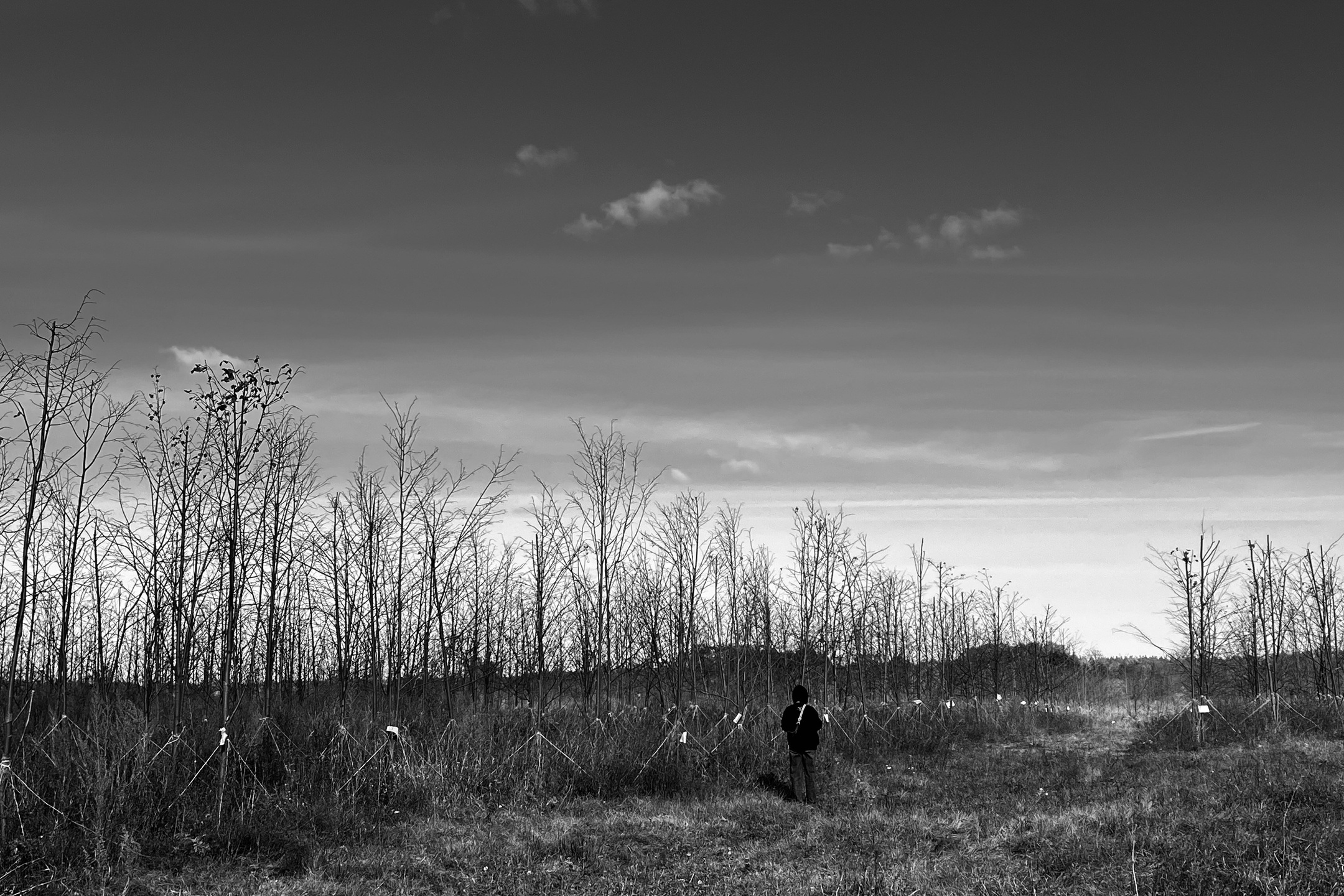 Перформанс «Лес мыслей». Коммерческий фотограф в Казани Ксения Добролюбова