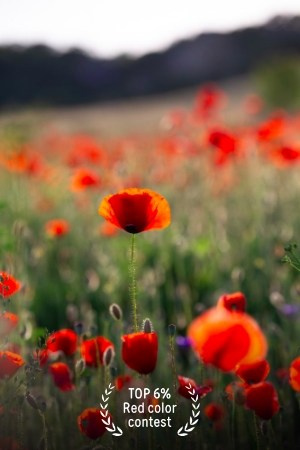 Конкурсы. Фотограф в Москве Лера Юдина