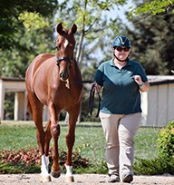 How to buy a horse. Liana Antanovich | Equestrian Strategies