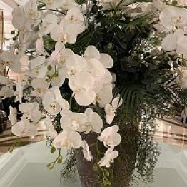 Живая музыка в Москве Ведущий Москва топ ведущих на свадьбу Саксофон. Свадебный ведущий в Москве Саксофон на свадьбу