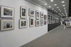 Новости. Могилевцева Дарья фотограф междисциплинарный художник