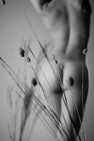 Nymphomania_2010. Фотограф в жанре НЮ Некрасов Михаил (hemail)