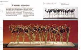 Подборка книг для изучения флористики, колористики, основ композиции. Флорист Маргарита Гладкова