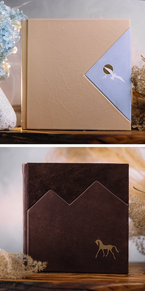 Верхнее изображение: бежевая обложка с голубой вставкой, на которой изображена белая чайка на фоне солнца. Нижнее изображение: темно-коричневая кожаная книга о путешествии в горы.