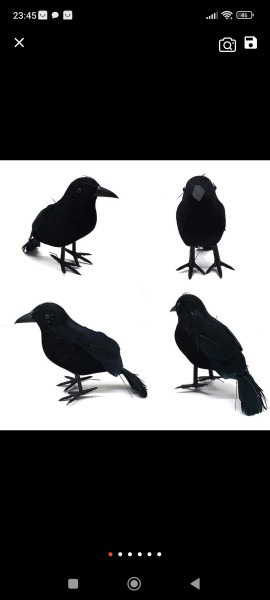 Карнавальные костюмы, крылья в прокат аренда в Жуковском . Крылья ангела, Малифисента. Черные и белые крылья, аксессуары из перьев в прокат. Фотограф для маркетплейсов, фотоуслуги в Жуковском Татьяна Марсуверских