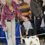 ЕВРАЗИЯ 2014. Lovely-Orange питомник джек рассел терьеров