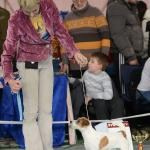 ЕВРАЗИЯ 2014. Lovely-Orange питомник джек рассел терьеров