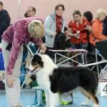 ЕВРАЗИЯ 2014. Lovely-Orange питомник джек рассел терьеров