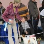 ЕВРАЗИЯ 2014. Lovely-Orange питомник джек рассел терьеров