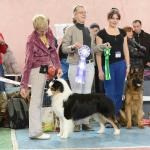 ЕВРАЗИЯ 2014. Lovely-Orange питомник джек рассел терьеров