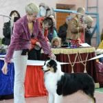 ЕВРАЗИЯ 2014. Lovely-Orange питомник джек рассел терьеров