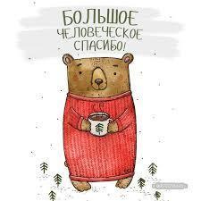 Отзывы. Фотограф Алёна Финашова