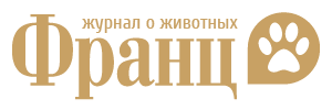 Александр Воронов — графический дизайнер