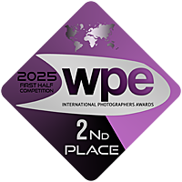 Достижения и дипломы. Сайт Алматинского НЮ АРТ, будуар и фэшн фотографа Дениса Карпенко