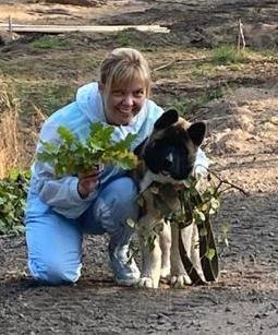 Бриз * ORSON UELLS американская акита