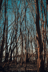 Photovogue. Детский и семейный фотограф в Новосибирске Саша Дорошенко