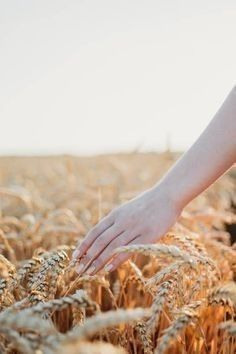 Поле. Фотограф в Екатеринбурге Юлия Ташлыцкая
