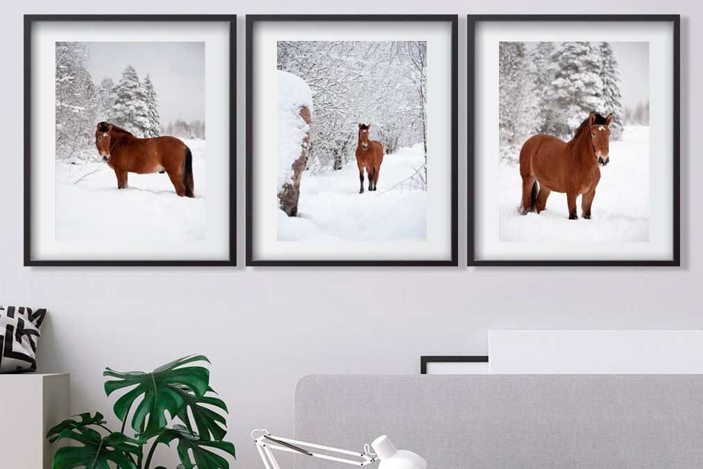 фото для интерьера, отпечаток, авторская фотография, купить отпечаток, купить фотографию, фото лошадей, фото лошади, красивые лошади, принт, цифровой отпечаток, фото яхты, парусник