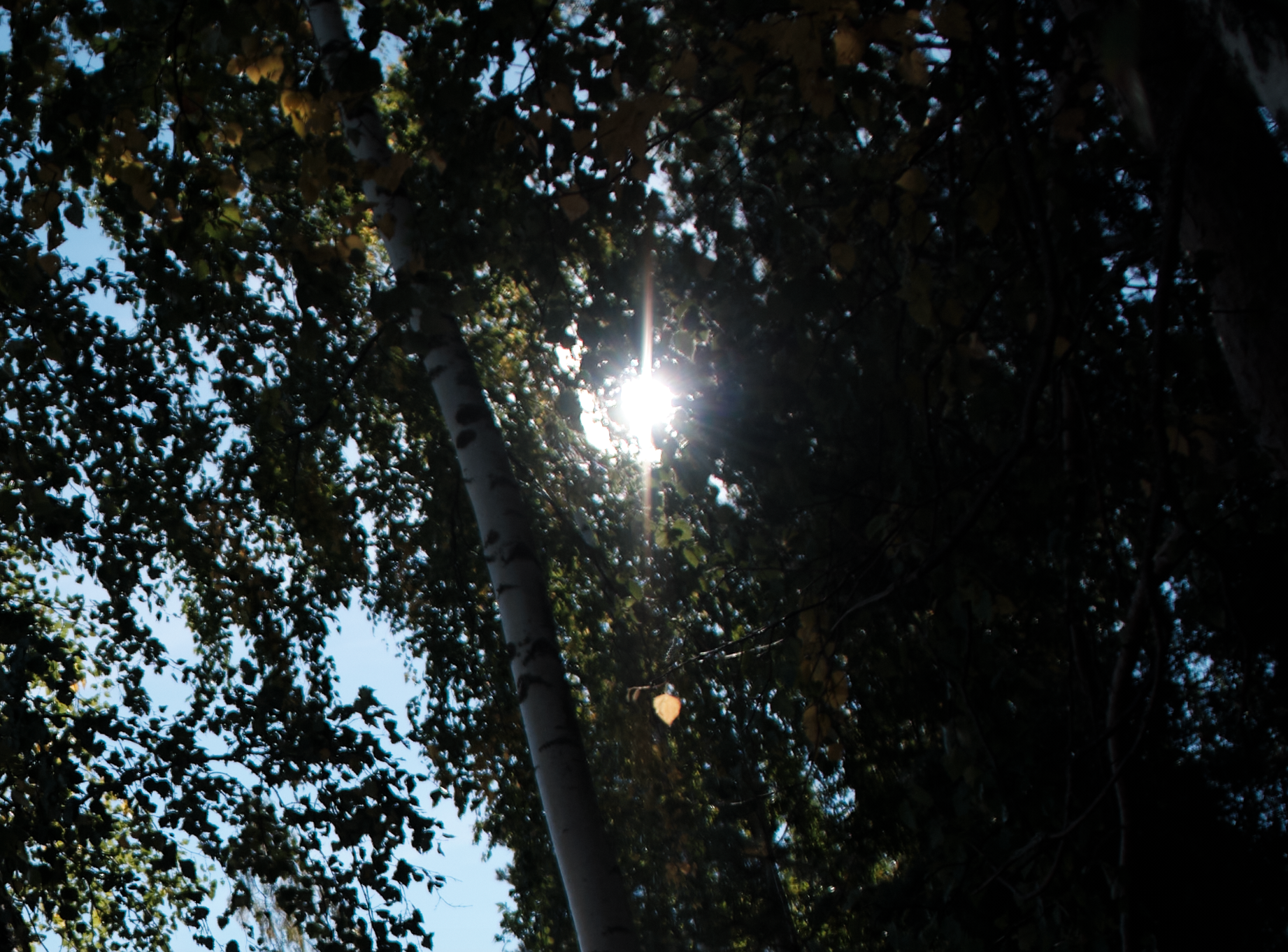 Сравнение объективов 7artisans 7,5/f2.8 и TTArtisan 7,5/f2.0. Фотограф Константин Шамин