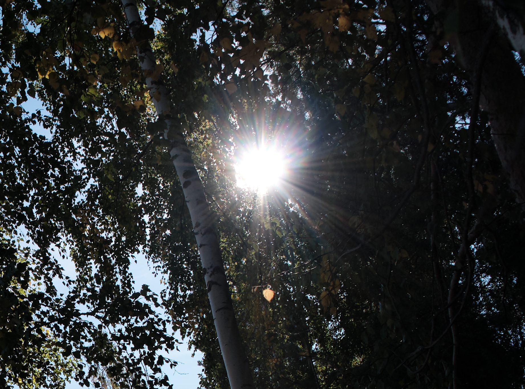 Сравнение объективов 7artisans 7,5/f2.8 и TTArtisan 7,5/f2.0. Фотограф Константин Шамин