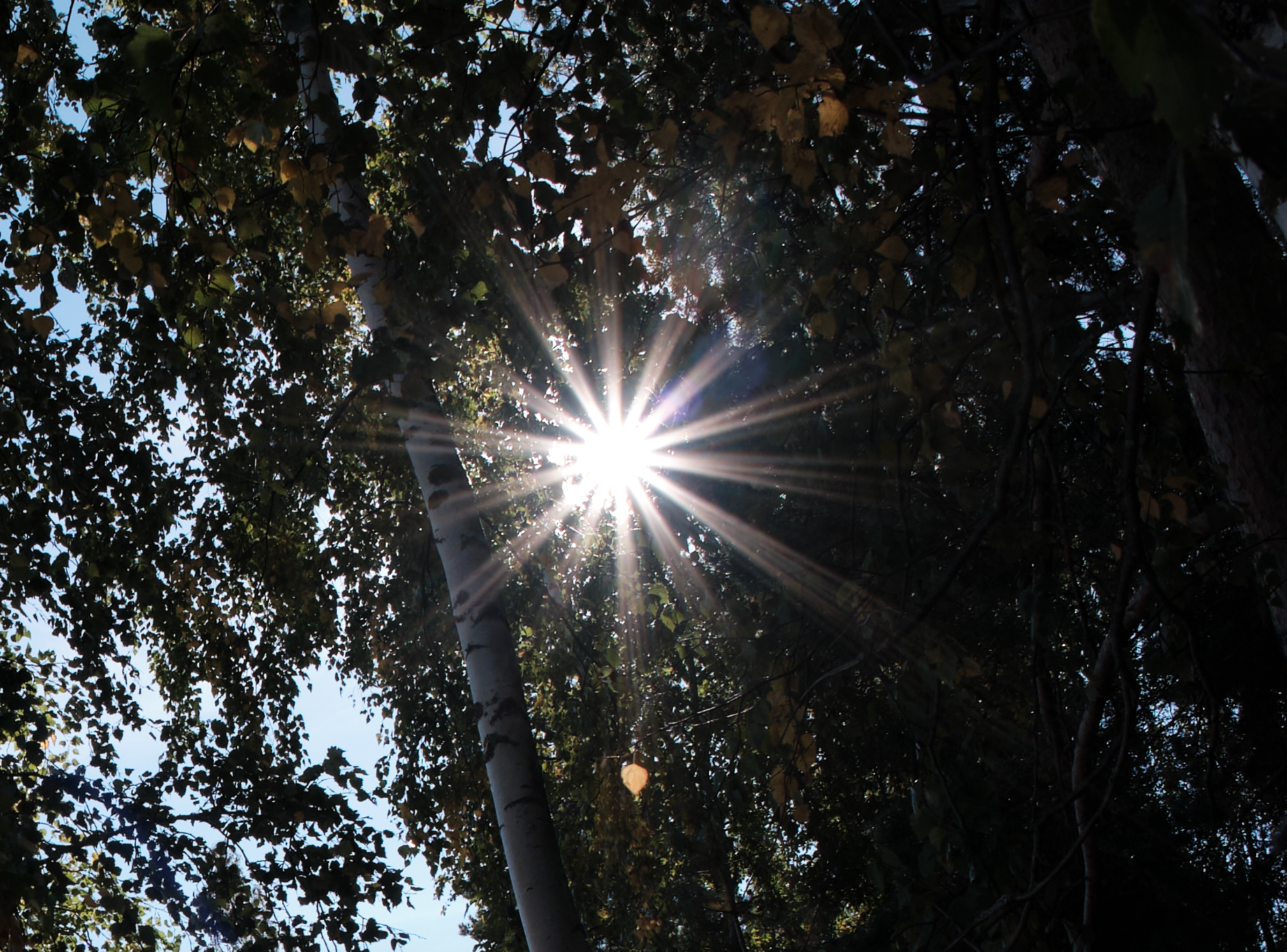 Сравнение объективов 7artisans 7,5/f2.8 и TTArtisan 7,5/f2.0. Фотограф Константин Шамин