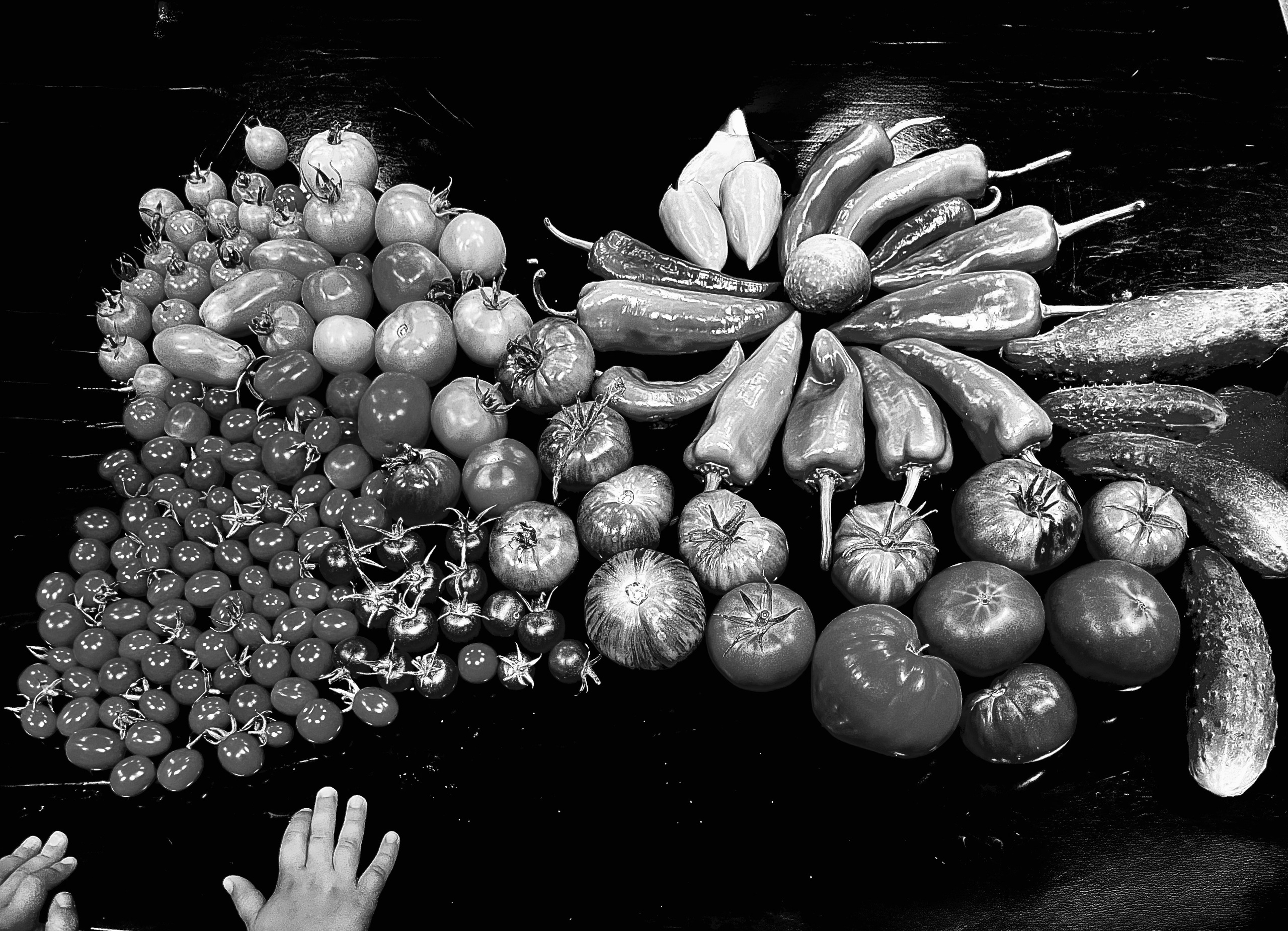 Фотограф и художник в Москве Евгения Нюнина