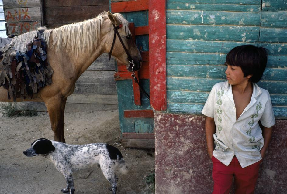 Фотограф для выпускного альбома 4,9,11 классов в Ростове-на-Дону. Выпускные альбомы, фотограф Денис Зимин в городе Ростове-на-Дону