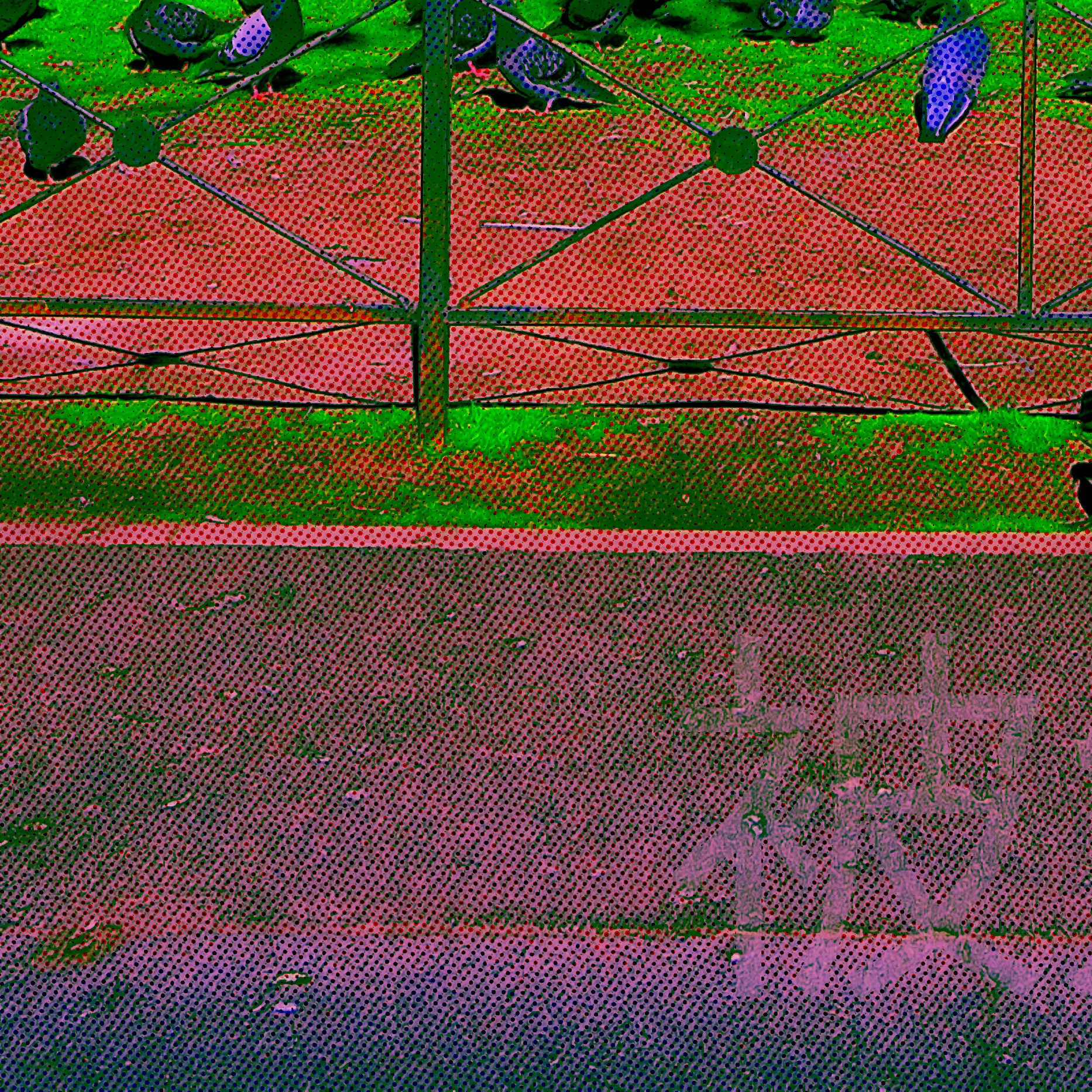 Спящий Самурай No. 01. Roman Hodirev is an esoteriologist, multidisciplinary artist, photographer and musician. Saint Petersburg, Riga