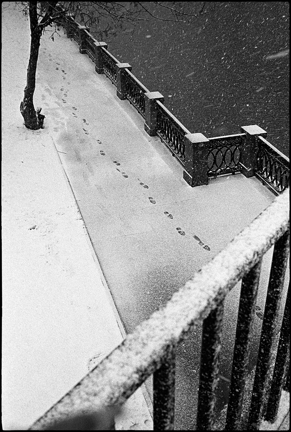 Юрий Нездойминога. Фотострелка