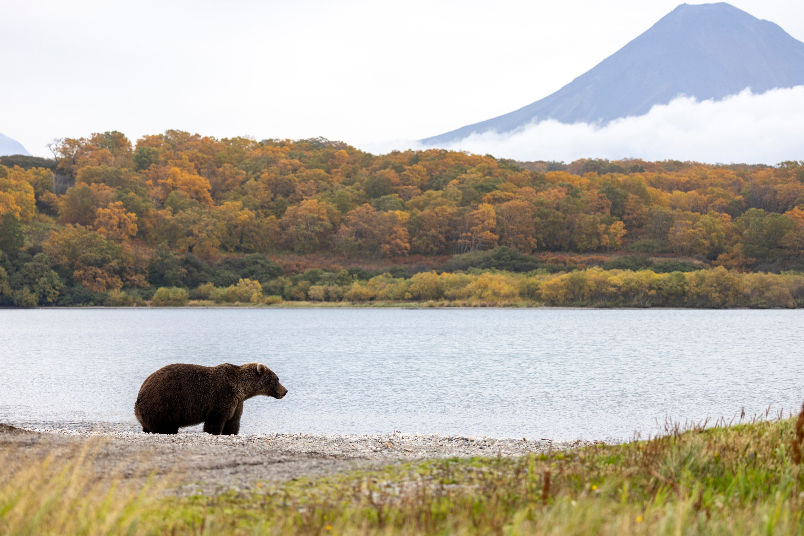 Курильское озеро — шестидневный тур в сердце дикой Камчатки. Время Камчатки: чтобы найти свой путь, нужно скорость умножить на время