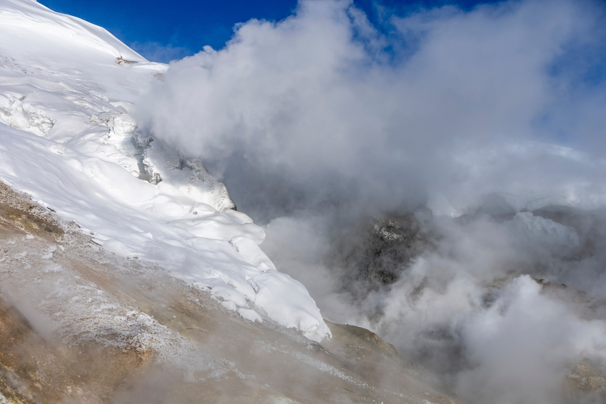 Дачные горячие источники - оазис жизни среди снежных просторов. Время Камчатки: чтобы найти свой путь, нужно скорость умножить на время