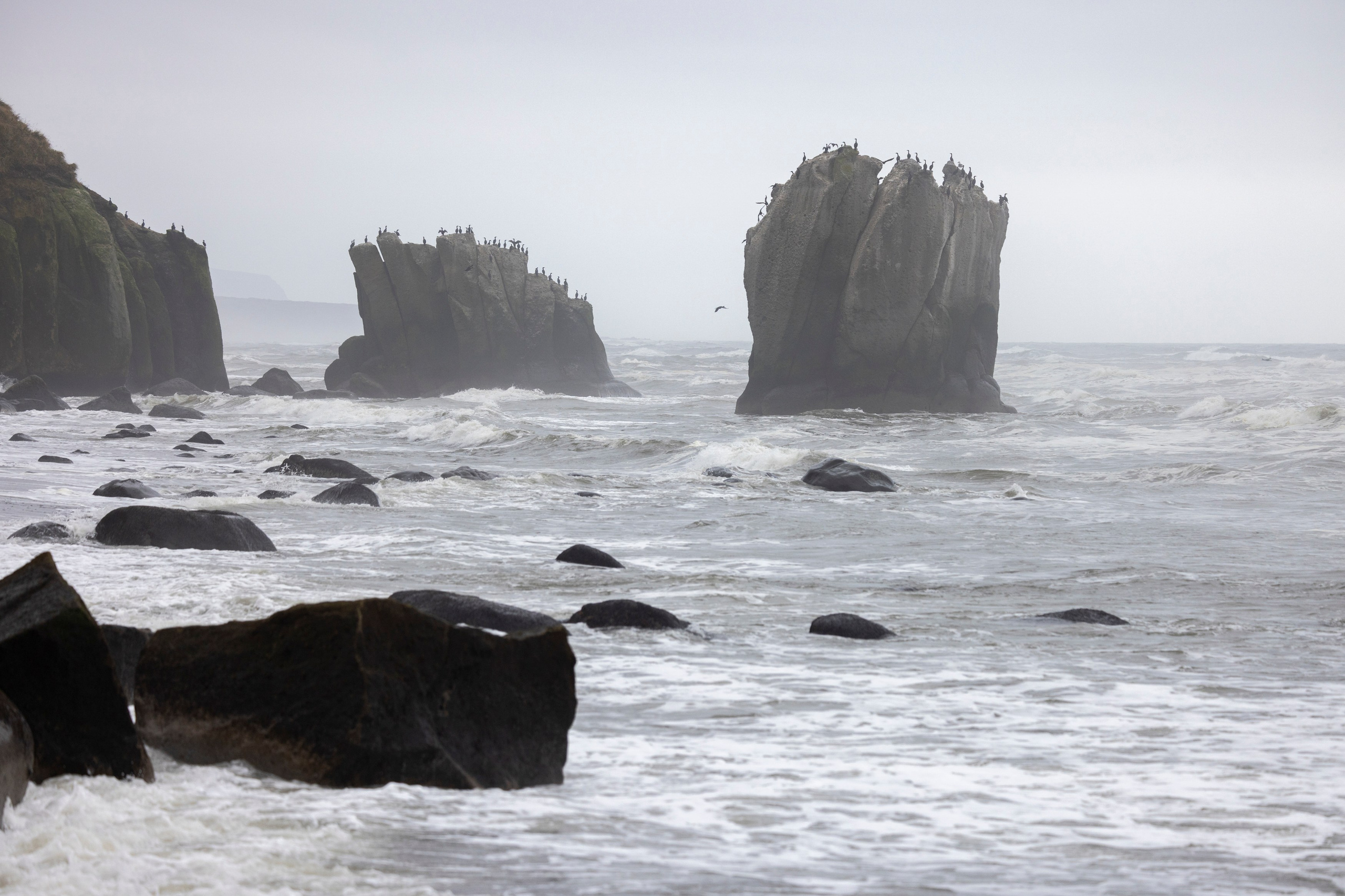 Фототур на Курильское озеро — медведи, нерест лососей и вулканы. Время Камчатки: чтобы найти свой путь, нужно скорость умножить на время