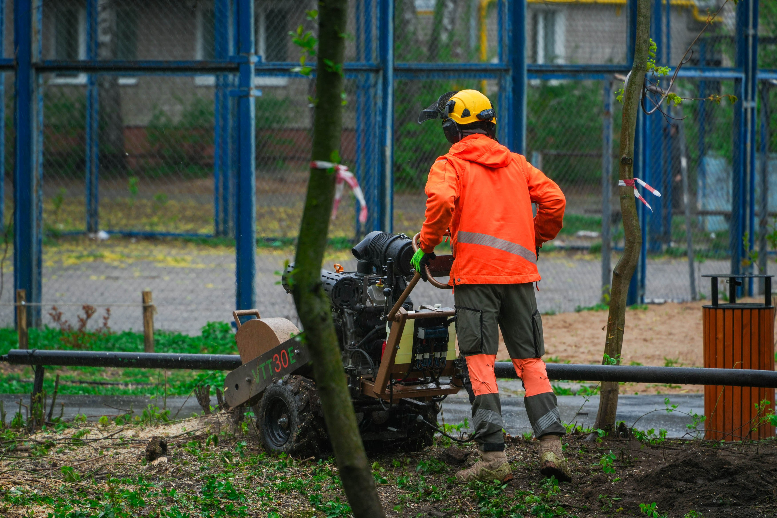 Арбористы за работой. Спортивный и репортажный фотограф в Иваново Сергей Силкин
