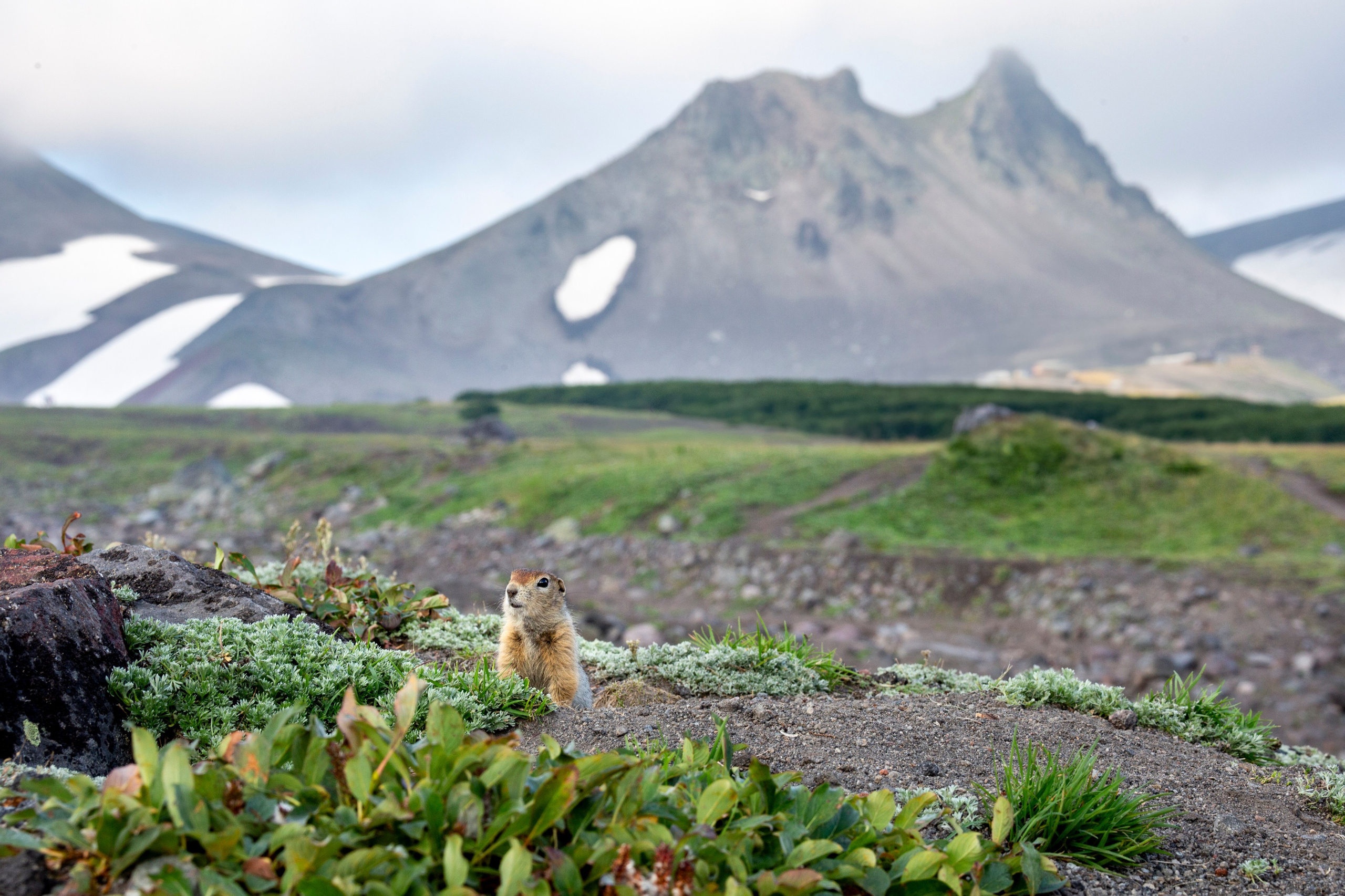 Научно-популярная Камчатка. Время Камчатки: чтобы найти свой путь, нужно скорость умножить на время
