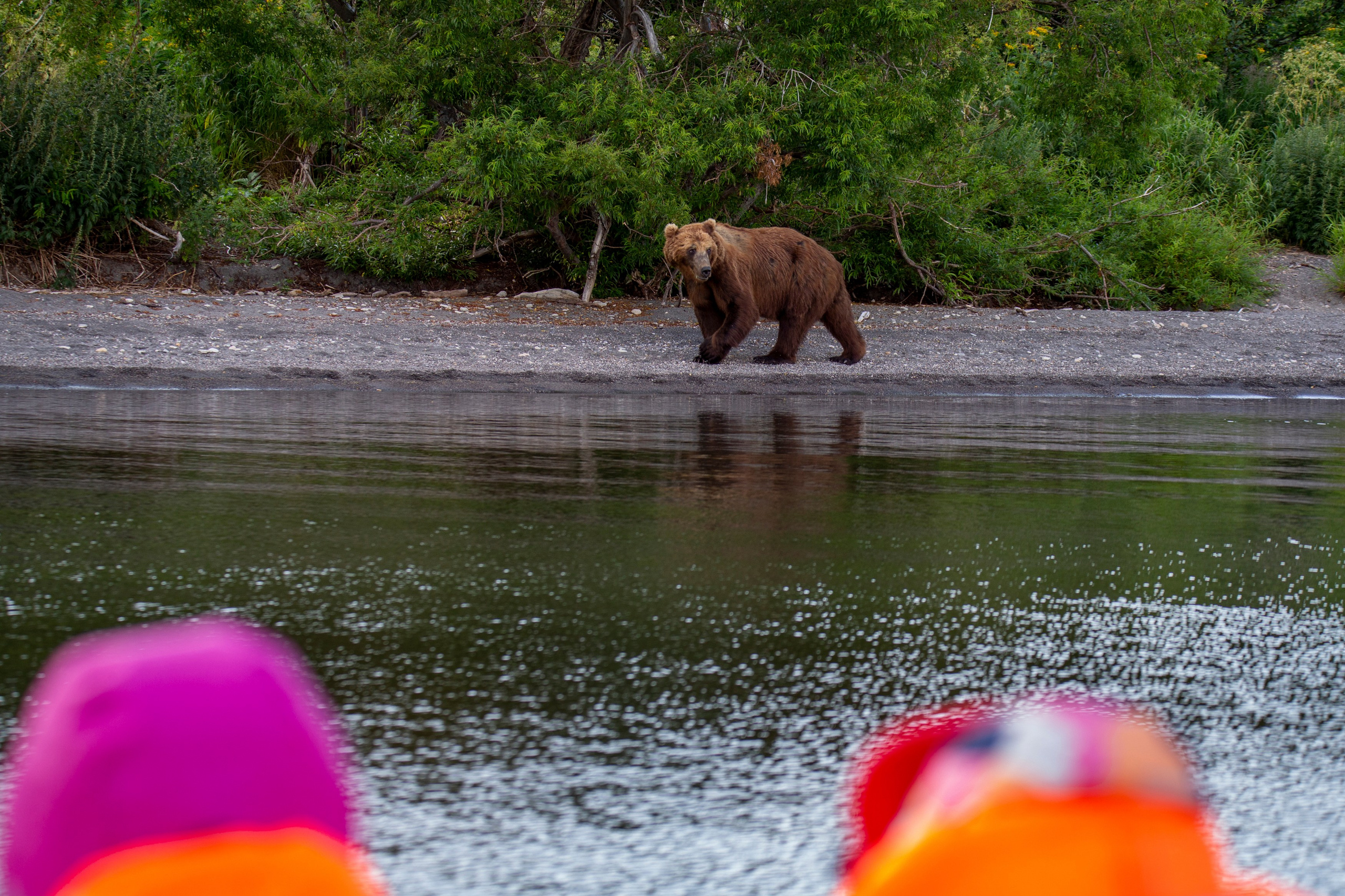 Сплав на рафтах. Время Камчатки: чтобы найти свой путь, нужно скорость умножить на время