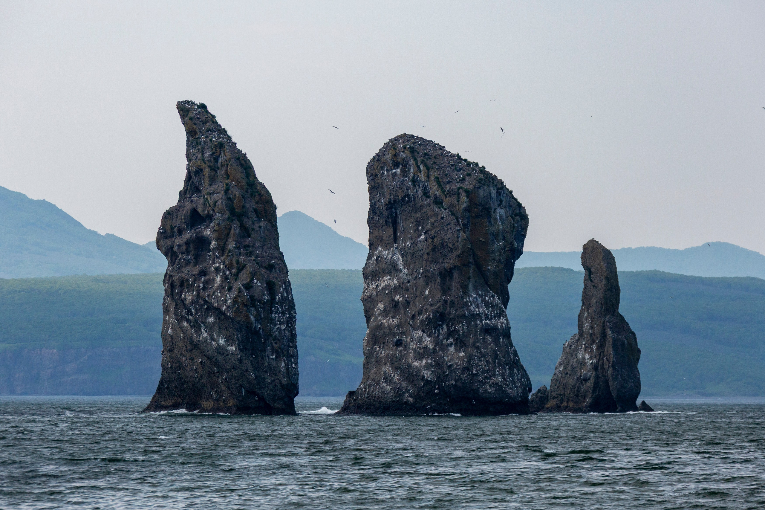 Крабовое сафари. Время Камчатки: чтобы найти свой путь, нужно скорость умножить на время