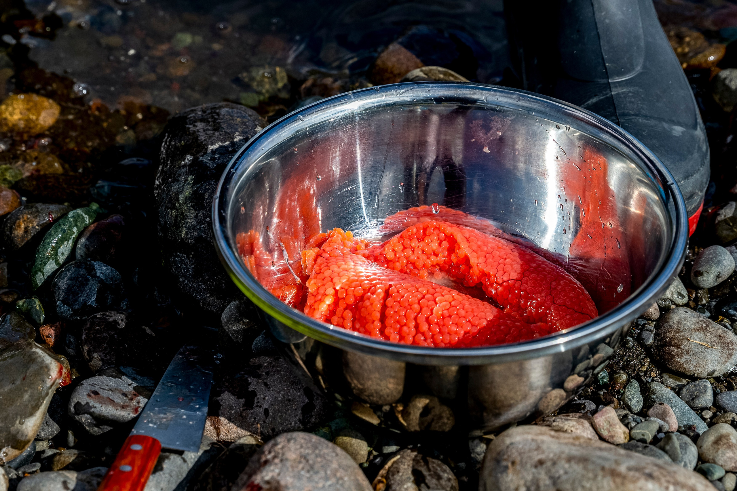 Сплав на рафтах. Время Камчатки: чтобы найти свой путь, нужно скорость умножить на время