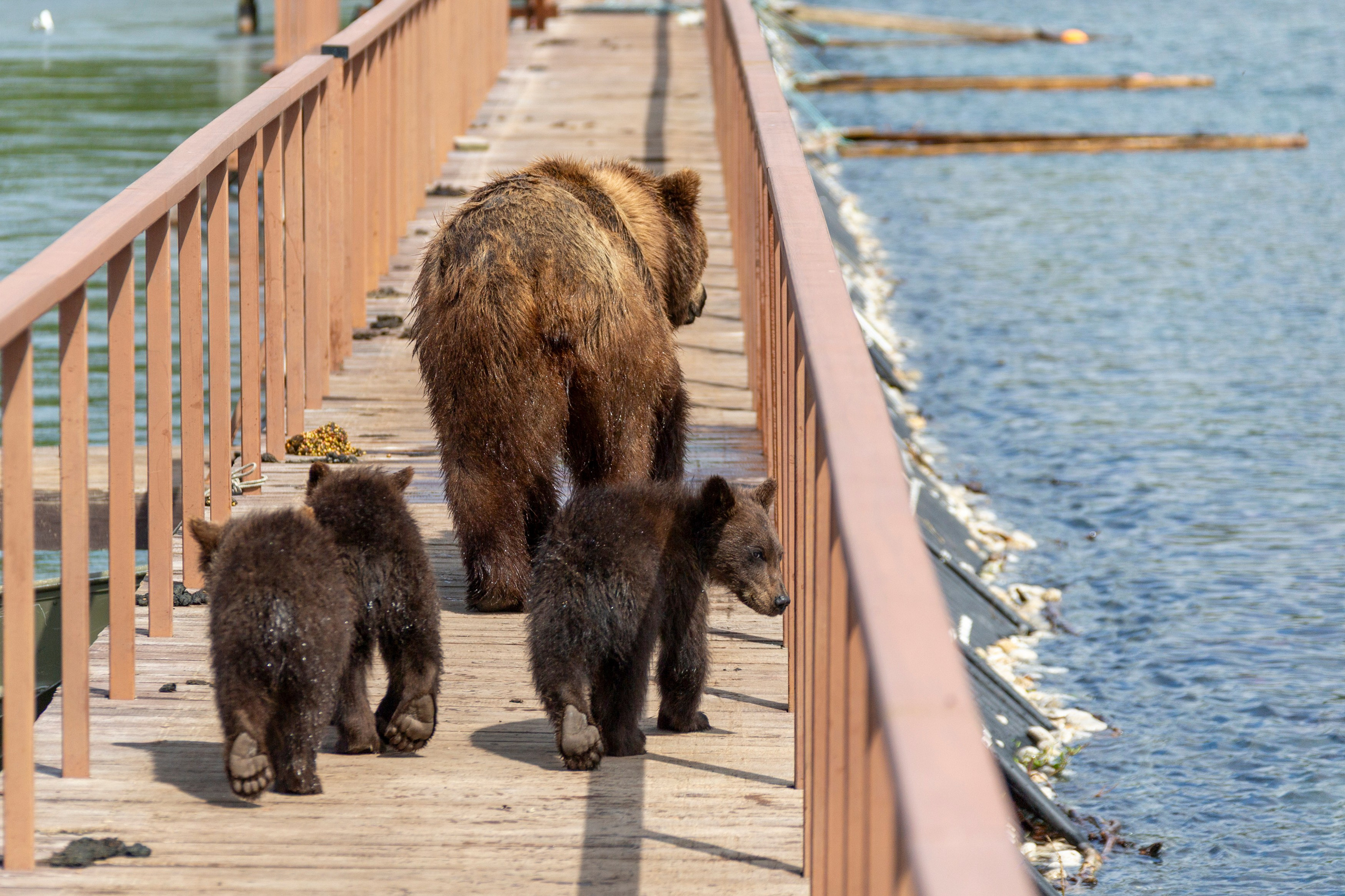 Курильское озеро — шестидневный тур в сердце дикой Камчатки. Время Камчатки: чтобы найти свой путь, нужно скорость умножить на время