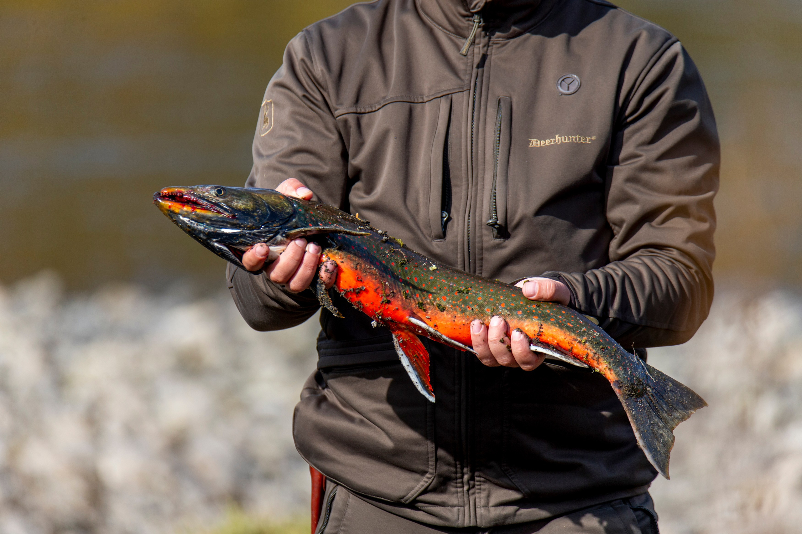 Летние однодневные экскурсии на Камчатке — Время Камчатки. Время Камчатки: чтобы найти свой путь, нужно скорость умножить на время