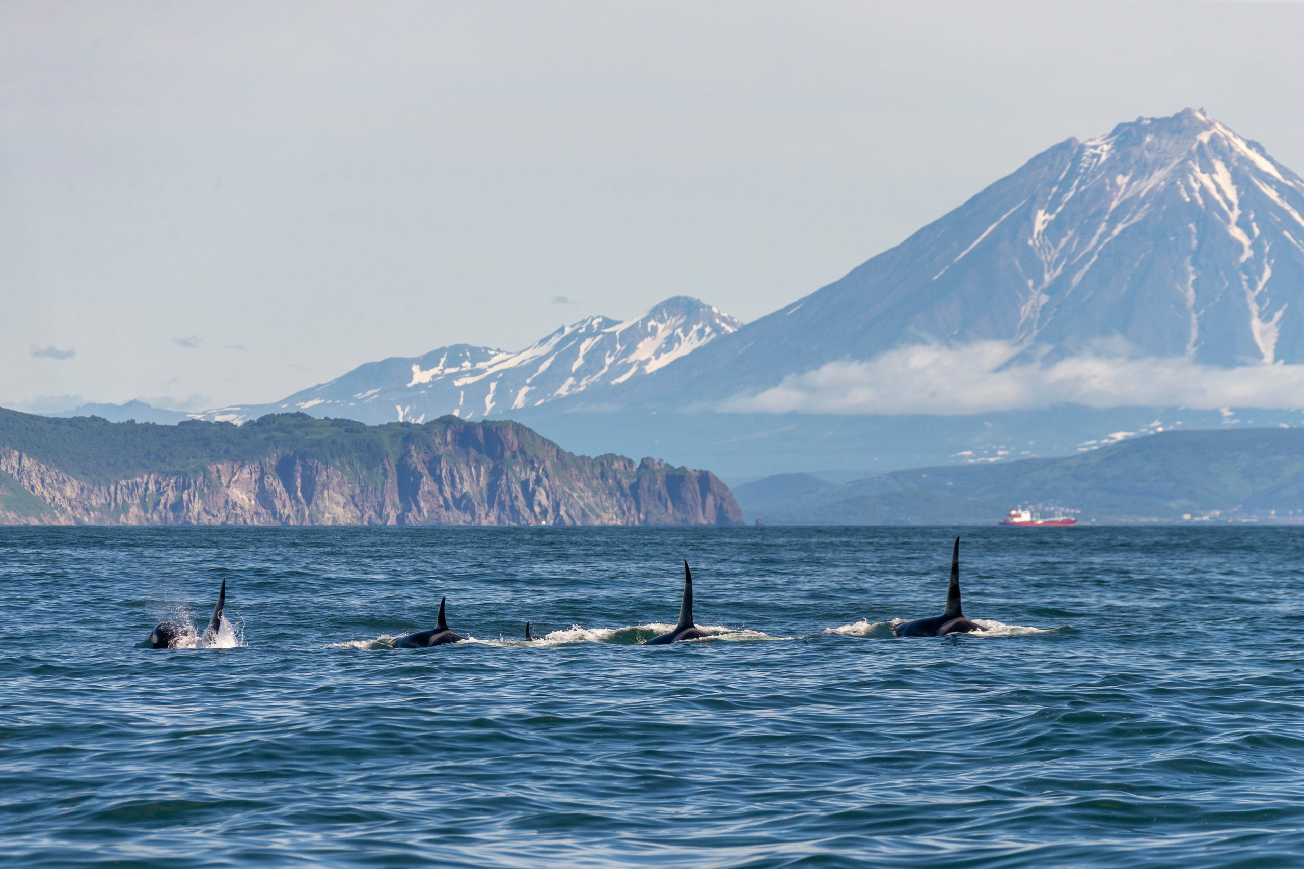 Мыс Зелёный — вулканические скалы и океанские виды. Время Камчатки: чтобы найти свой путь, нужно скорость умножить на время