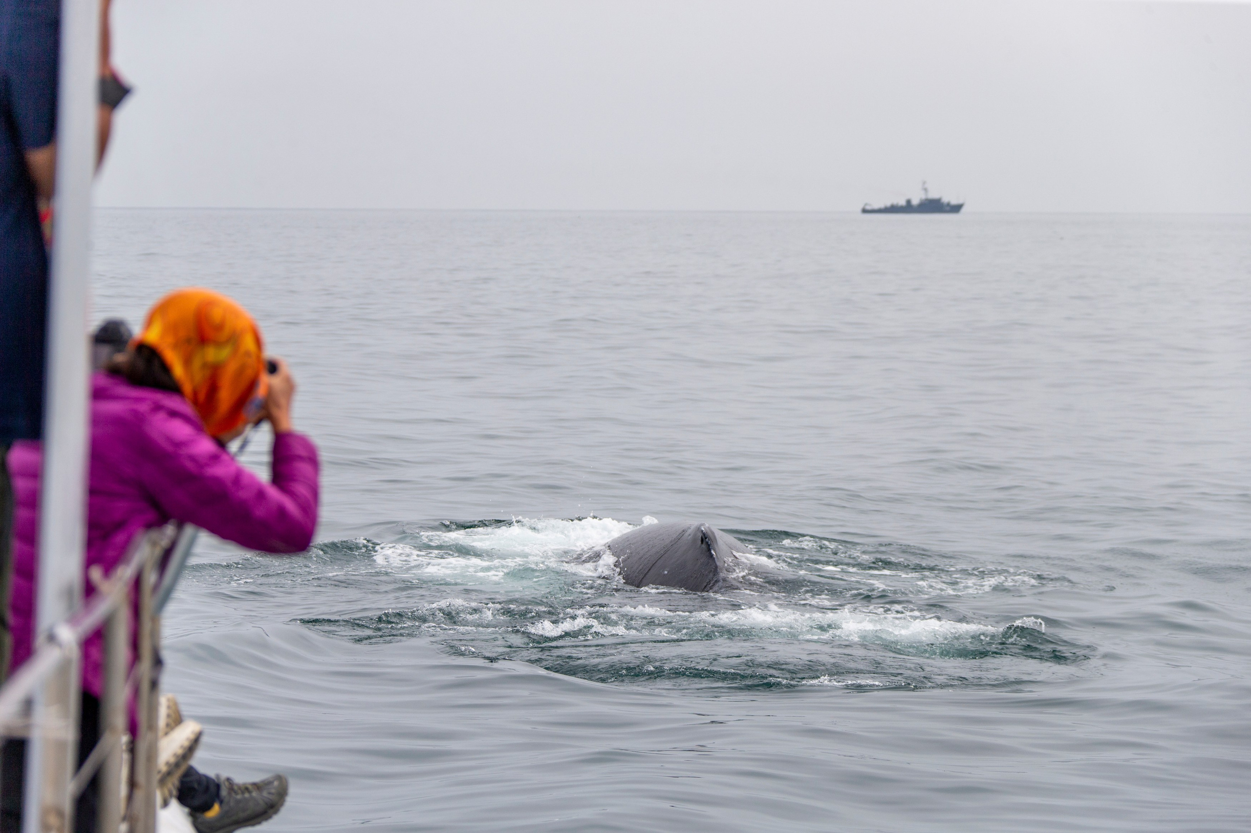 Мыс Зелёный — вулканические скалы и океанские виды. Время Камчатки: чтобы найти свой путь, нужно скорость умножить на время