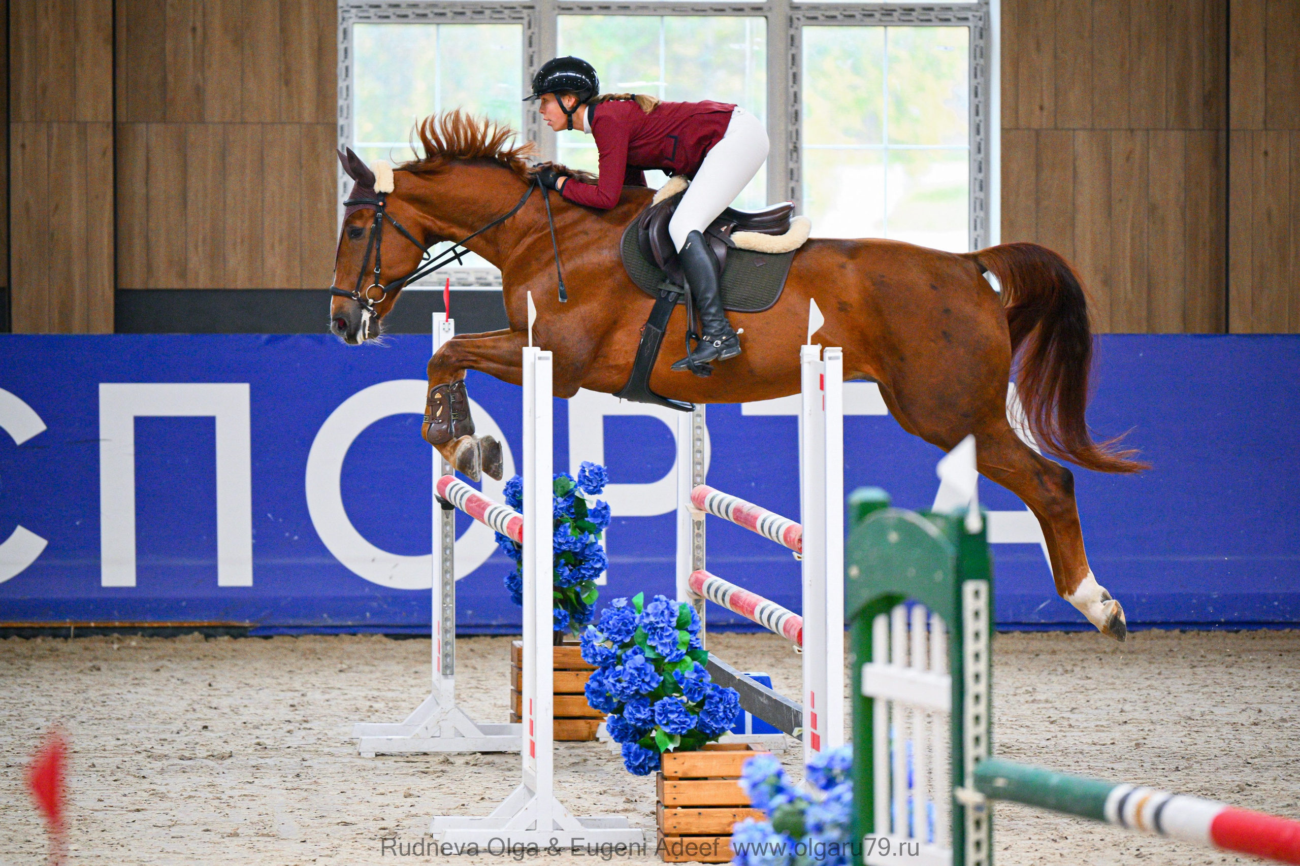 2026.10.10-11 — «КУБОК «HORSEKA SPORT». ТУРНИРНАЯ КОННАЯ ФОТОГРАФИЯ, Руднева Ольга и Евгений Адеев
