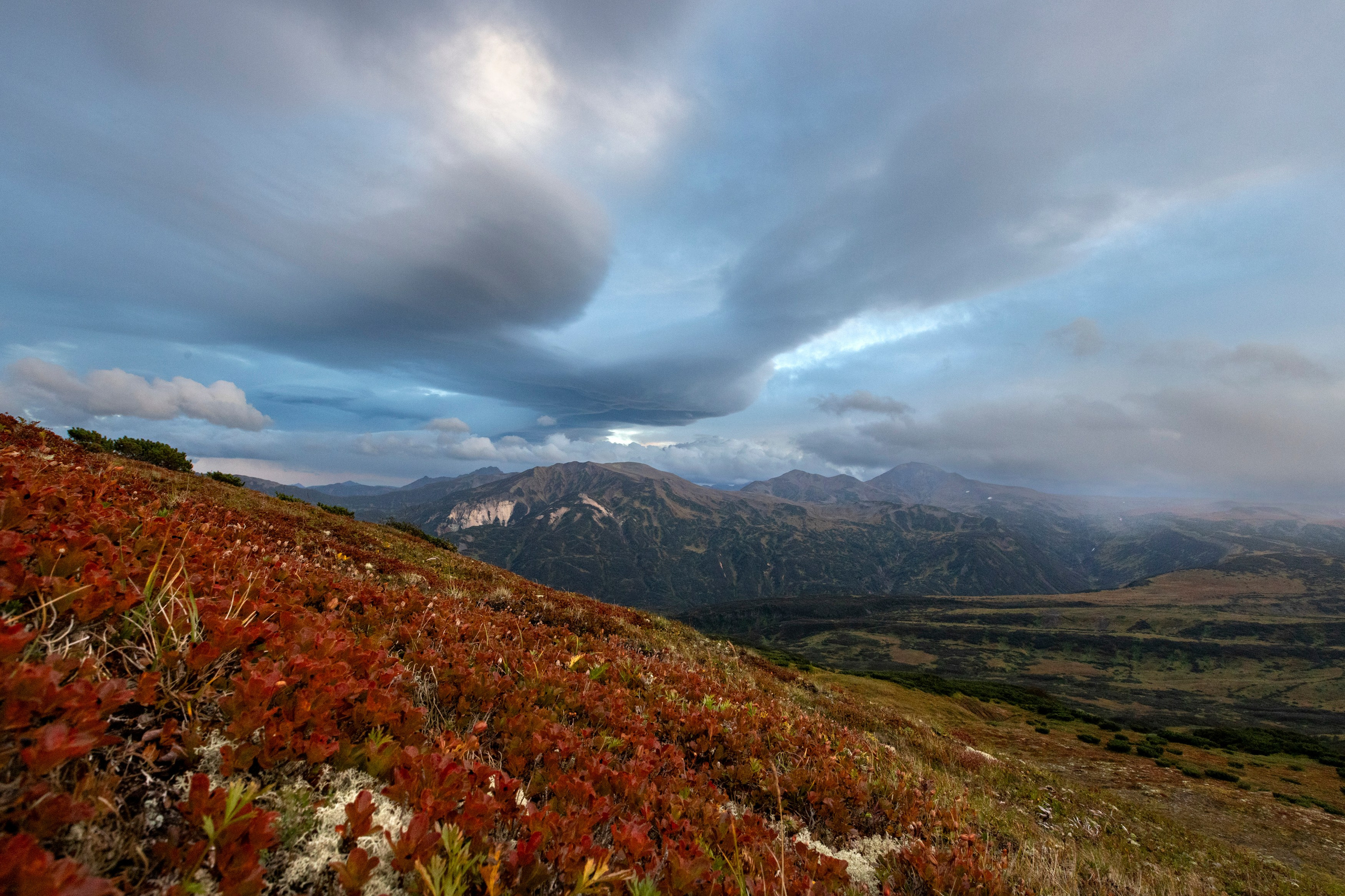 Дачные горячие источники — то, как зарождалась Земля. Время Камчатки: чтобы найти свой путь, нужно скорость умножить на время