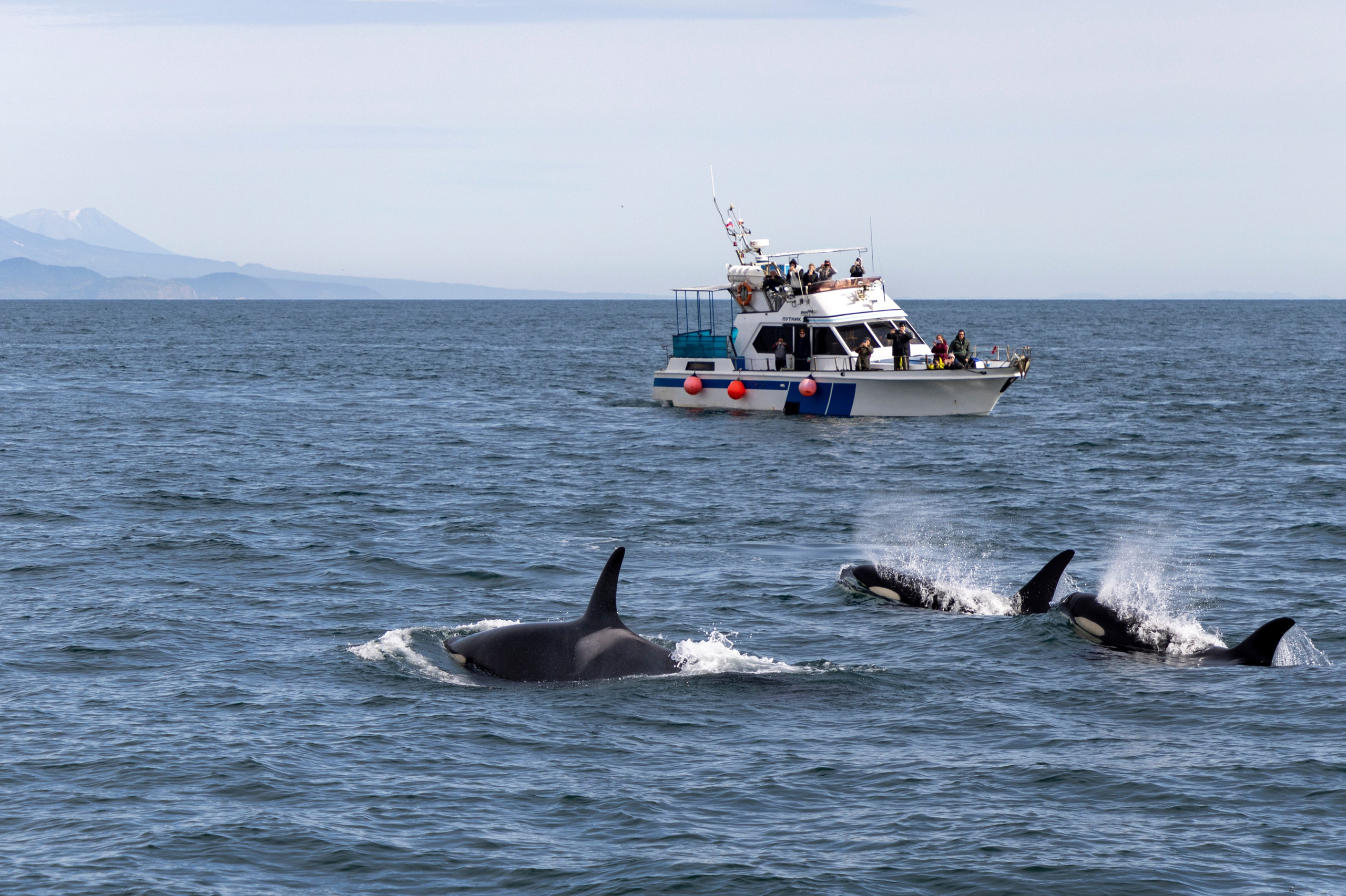 Вулкан Толбачик — история извержений, лава и марсианские пейзажи. Время Камчатки: чтобы найти свой путь, нужно скорость умножить на время
